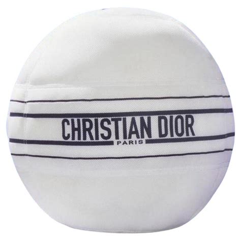 christian dior exercise ball|techno gym dior.